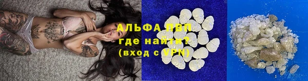 СК Нефтекумск